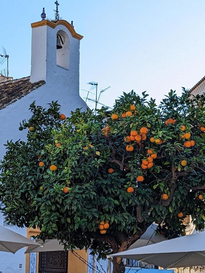 Marbella - Playa Alicate 2Br Holiday Apartment מראה חיצוני תמונה